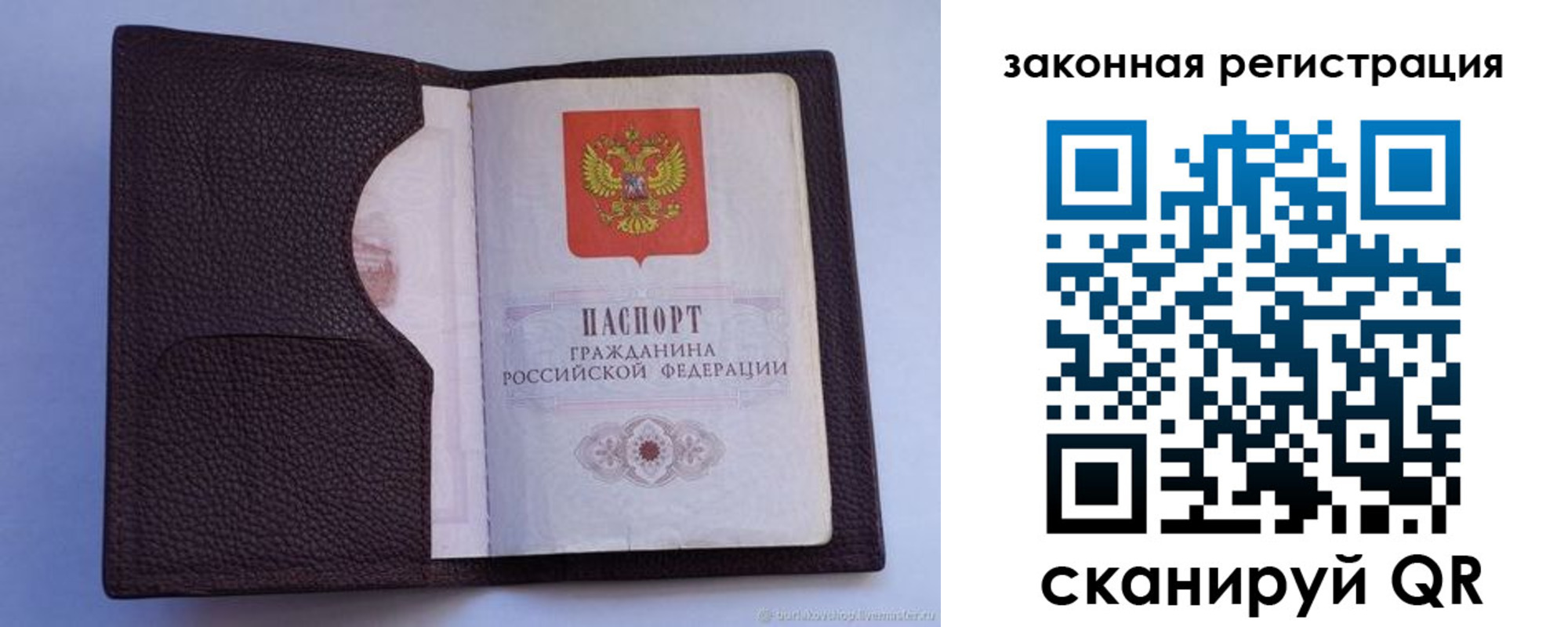 пропишу в квартире в Камышине